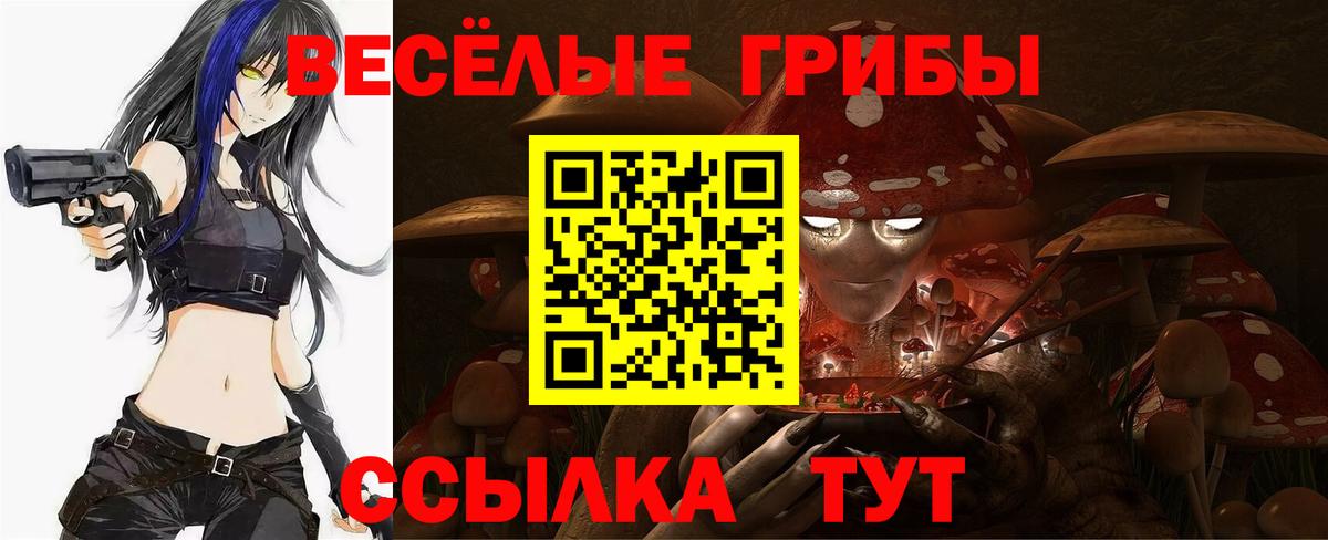 Галлюциногенные грибы Cubensis Кинешма